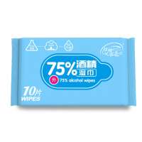 10PCS Antiseptic Disinfectant Wipes Medical 75% Alcohol Cleaning Wipes